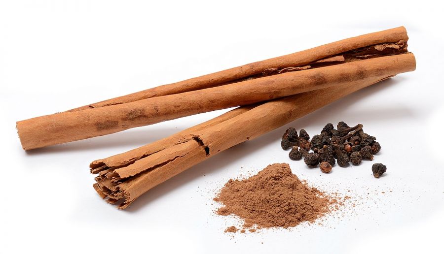 اصول کاشت درخت دارچین (2 نکته مهم) اصول کاشت درخت دارچین (2 نکته مهم)