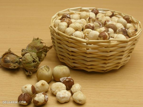 خواص فندق