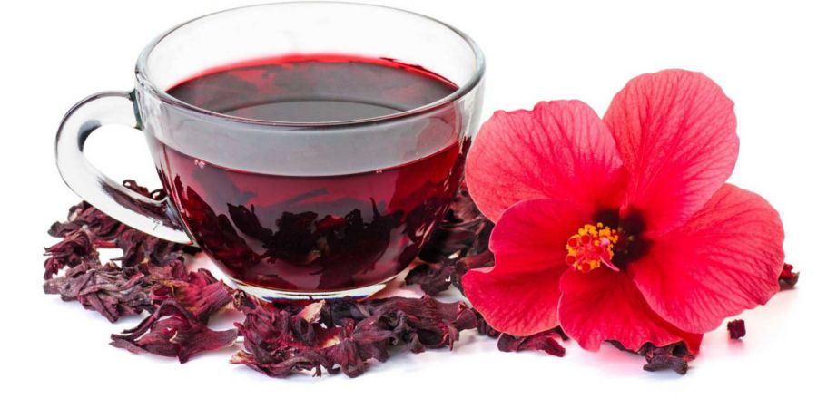 روش کاشت گیاه چای ترش و نحوه برداشت آن (2 نکته مهم)