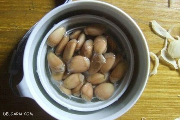 دانه های پرتقال