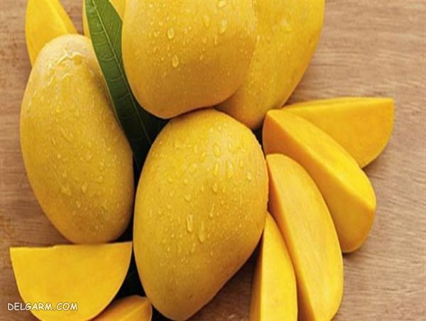 میوه انبه