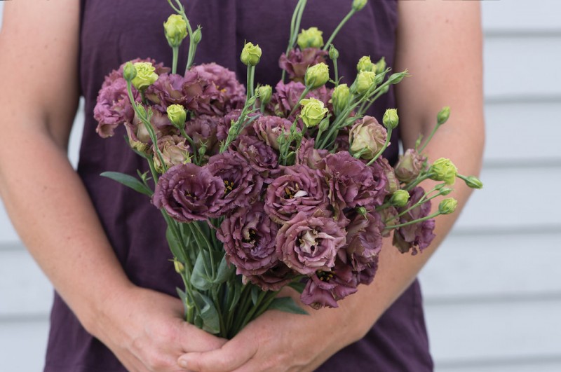 بهترین روش برای نگهداری گل لیزیانتوس و پرورش آن (2 نکته مهم)
