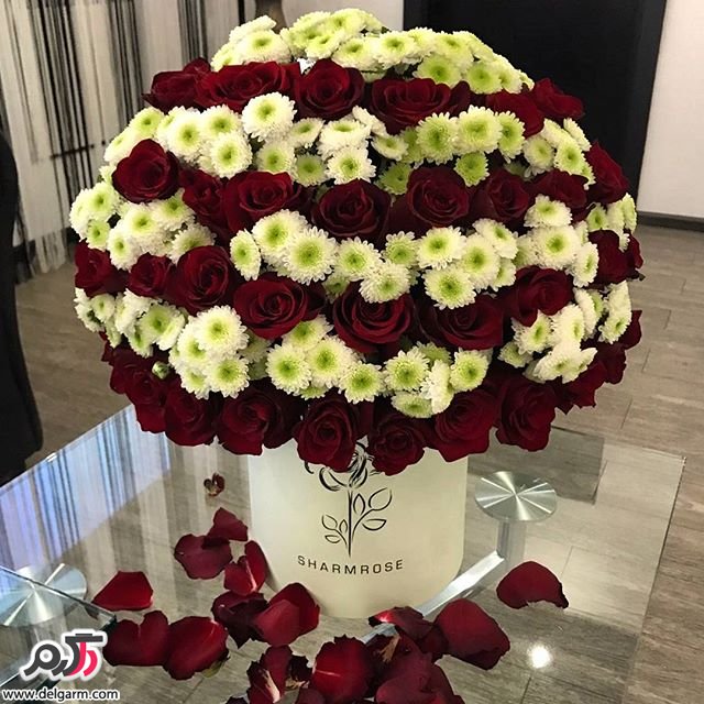 باکس گل