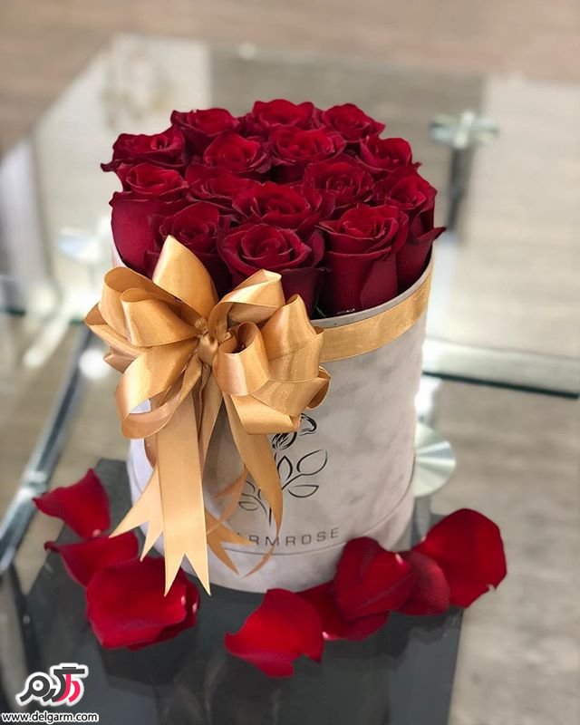 باکس گل