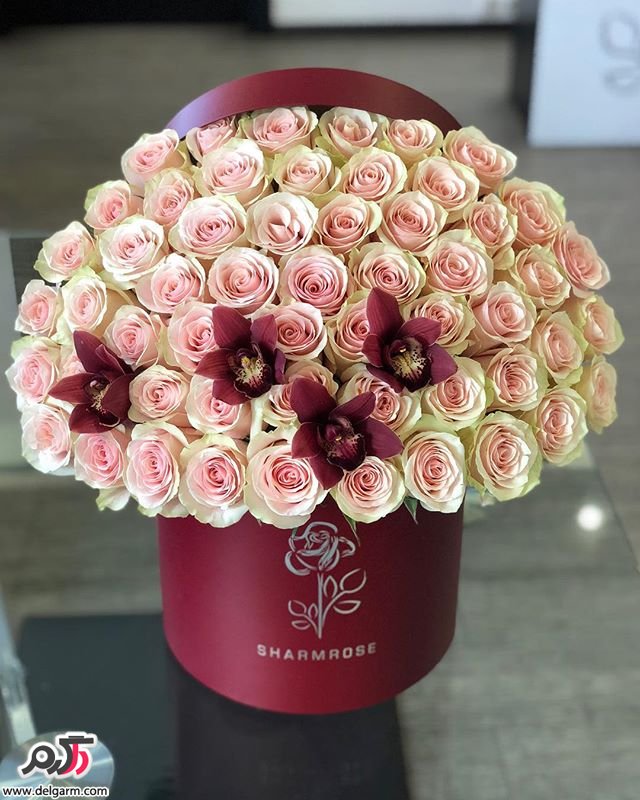 باکس گل