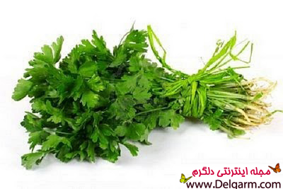 بهترین سبزی های خوراکی