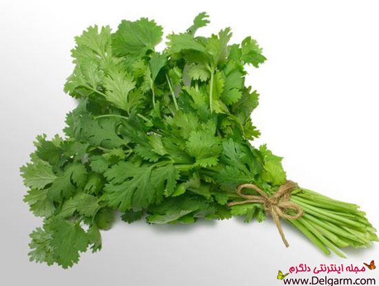بهترین سبزی های خوراکی