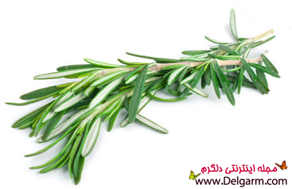 بهترین سبزی های خوراکی
