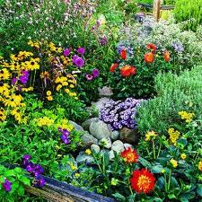نگاهی به تابستانی‌ترین گل‌ها (2 نکته مهم)