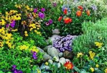 نگاهی به تابستانی‌ترین گل‌ها (2 نکته مهم)