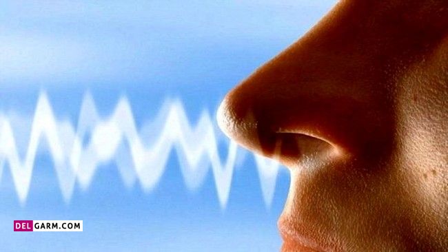 بازگشت بویایی بعد از کرونا