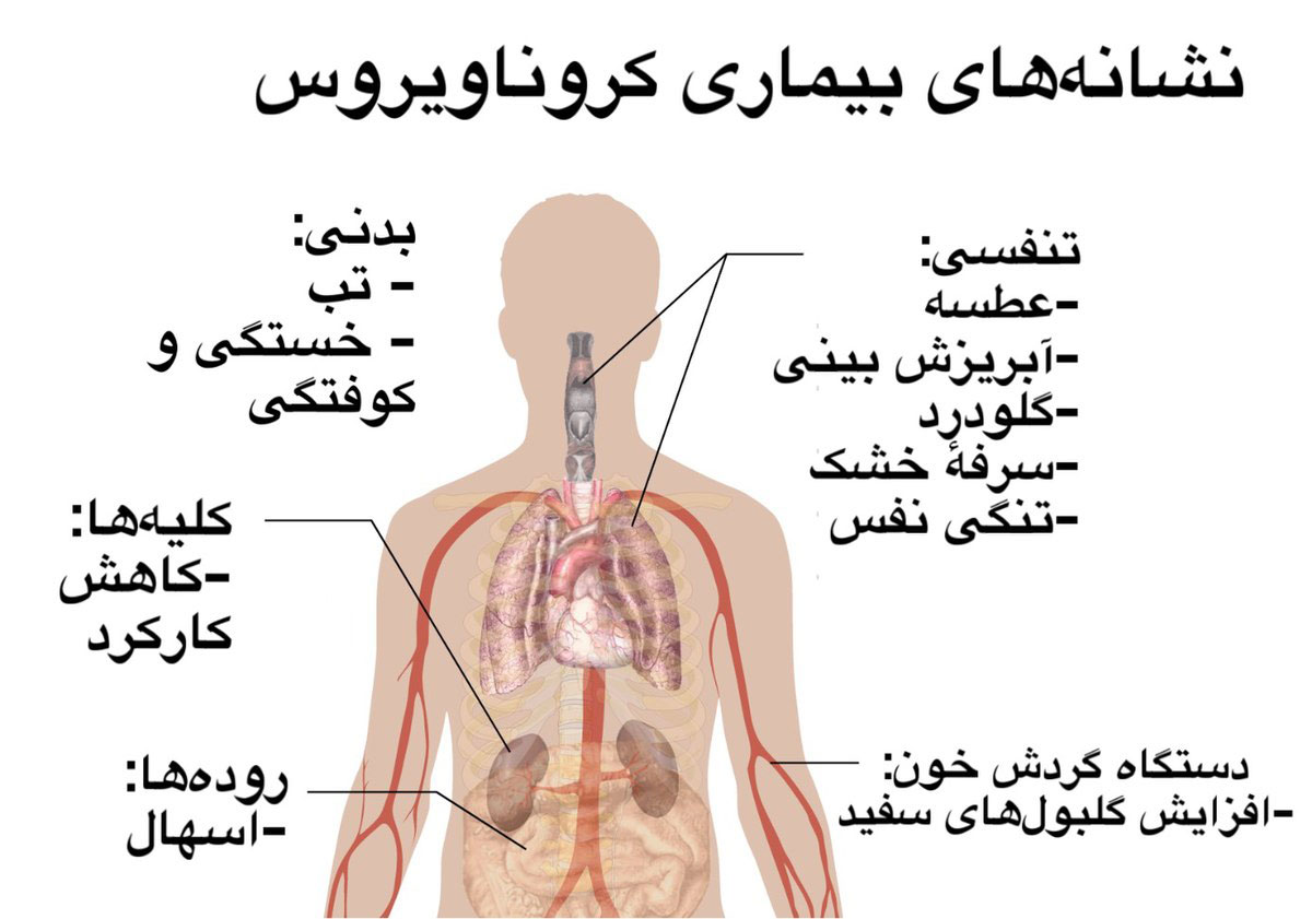 علائم و نشانه های کرونا به چه ترتیبی ظاهر می شوند ؟ (2 نکته مهم)