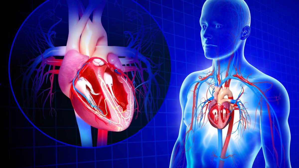 راههای جلوگیری از نارسایی قلبی در اثر حمله قلبی (2 نکته مهم)