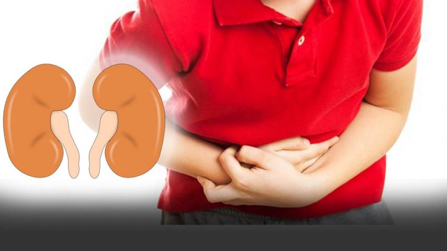 علائم بروز عفونت کلیه چیست ؟ چه کسانی دچار عفونت کلیه می شوند ؟ (2 نکته مهم) علائم بروز عفونت کلیه چیست ؟ چه کسانی دچار عفونت کلیه می شوند ؟ (2 نکته مهم)
