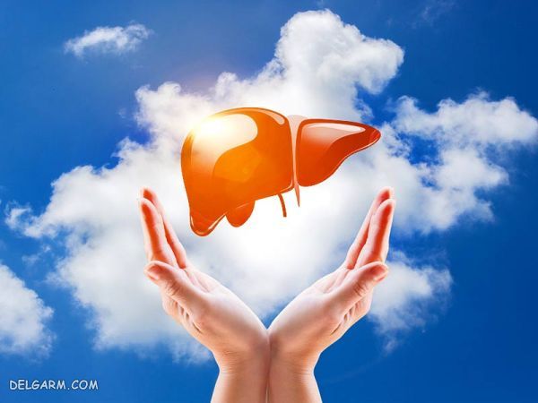  / پیوند کبد / شرایط سنی پیوند کبد / خطر مرگ در پیوند کبد / عمر بیماران پیوند کبد / 