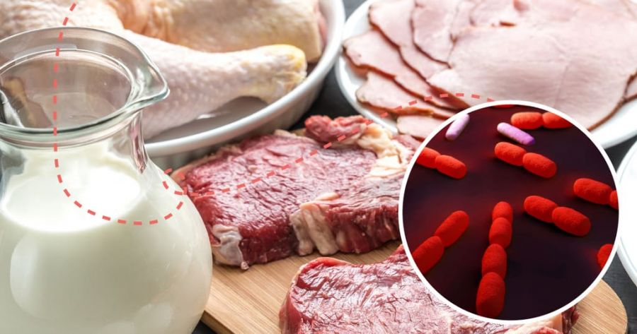 عفونت لیستریا چیست و چگونه منتقل می شود ؟ (2 نکته مهم) عفونت لیستریا چیست و چگونه منتقل می شود ؟ (2 نکته مهم)