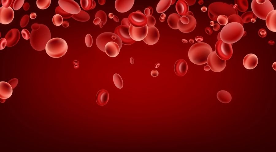 افزایش پلاکت خون : راههای افزایش پلاکت خون به راحت ترین شکل (2 نکته مهم)