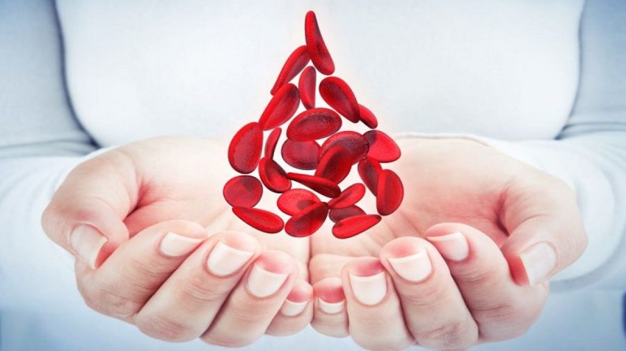 علائم کم خونی : چگونه بفهمیم کم خونی داریم؟ (2 نکته مهم)