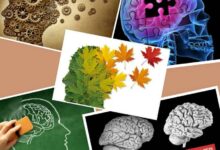 مقایسه بیماری آلزایمر با زوال عقل و تفاوت های آنها (2 نکته مهم)