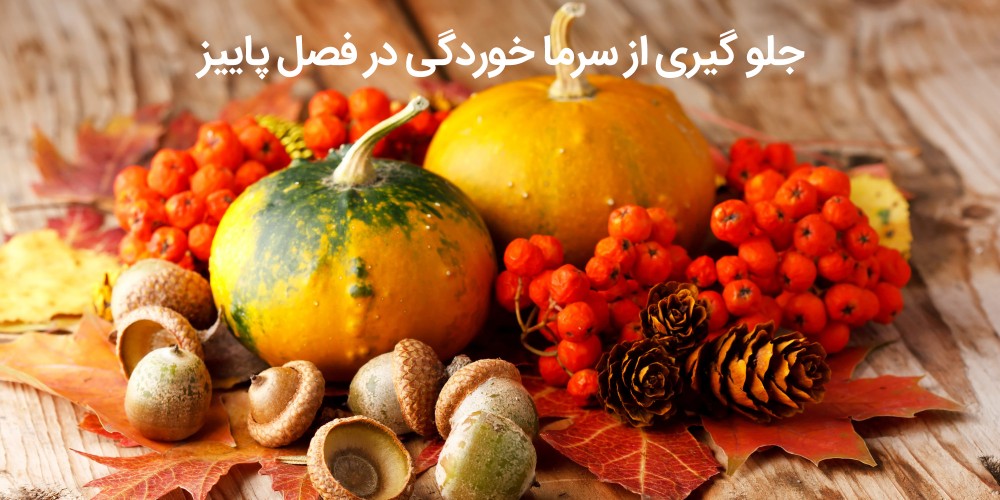 در فصل پاییز چی بخوریم که سرما نخوریم؟ (2 نکته مهم)