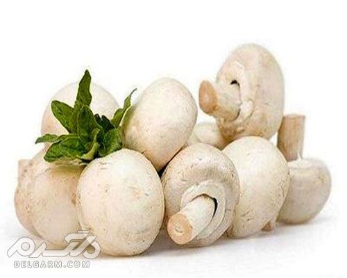 حساسیت به قارچ