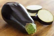 حساسیت به بادمجان یک آلرژی غذایی شایع (2 نکته مهم)