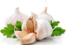 حساسیت به سیر یک حساسیت نادر! (2 نکته مهم)