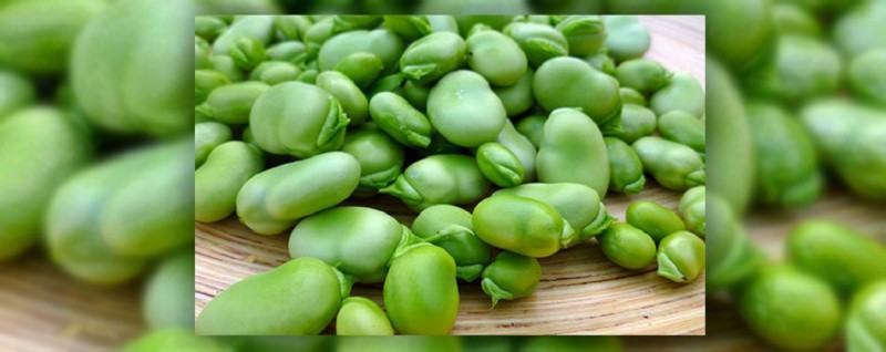 همه چیز در مورد بیماری خطرناک فاویسم (2 نکته مهم)