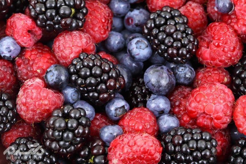 20 خوراکی مفید برای مبارزه با دیابت (2 نکته مهم) توت ها