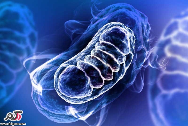 بیماری‌های میتوکندریایی