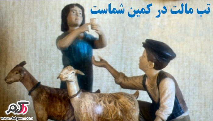 آیا تب مالت درمانی هم دارد؟ (2 نکته مهم) آیا تب مالت درمانی هم دارد؟ (2 نکته مهم)