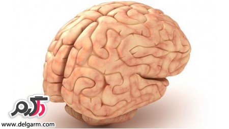 از دلایل کاهش عملکرد مغز چه می دانید؟