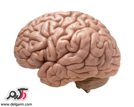 از دلایل کاهش عملکرد مغز چه می دانید؟