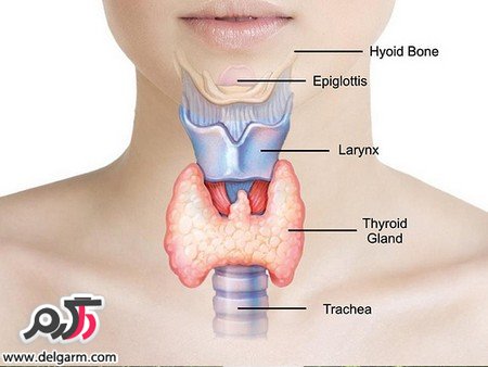 با رعایت این نکات دیگر نیازی به عمل تیروئید نیست (2 نکته مهم)
