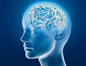 آیا حافظه تان ضعیف است؟ (2 نکته مهم)