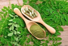نحوه مصرف مورینگا برای استفاده از نهایت خواص این گیاه ! (2 نکته مهم)