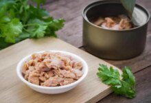 آیا تن ماهی قند دارد ؟ افراد دیابتی می توانند مصرف کنند ؟ (2 نکته مهم)