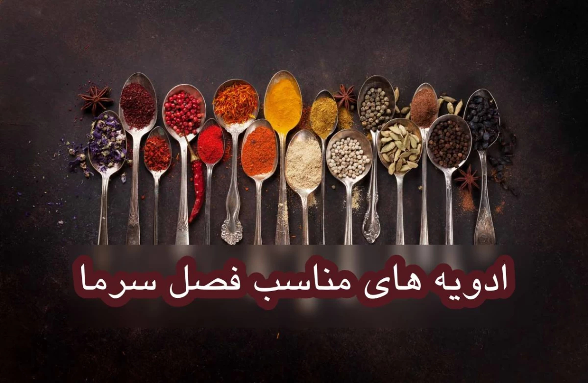 5 ادویه مفید برای فصول سرد که سرفه و سرما را از بین می برند (2 نکته مهم) 5 ادویه مفید برای فصول سرد که سرفه و سرما را از بین می برند (2 نکته مهم)