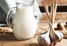فواید شیر سیر برای درمان سیاتیک : مصرف آن به چه افرادی پیشنهاد می شود ؟ (2 نکته مهم)