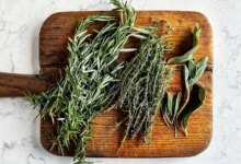 چگونه اسطوخودوس را از رزماری تشخیص دهیم ؟ (2 نکته مهم)