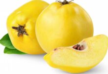 به در بارداری : مصرف میوه به خام در بارداری چه خواصی دارد ؟ (2 نکته مهم)