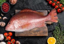 خواص طلایی ماهی سرخو برای سلامتی (2 نکته مهم)