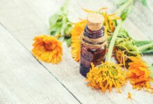 با مزایای فوق العاده روغن گل همیشه بهار ( کالاندولا ) آشنا شوید (2 نکته مهم)