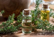 تاثیرات عجیب روغن آویشن برای سلامت بدن و بهبود بیماری ها (2 نکته مهم)