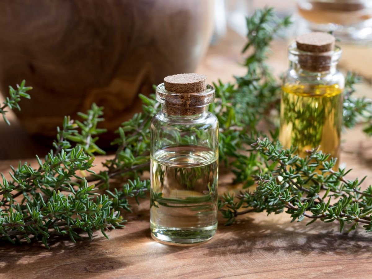 تاثیرات عجیب روغن آویشن برای سلامت بدن و بهبود بیماری ها (2 نکته مهم) تاثیرات عجیب روغن آویشن برای سلامت بدن و بهبود بیماری ها (2 نکته مهم)