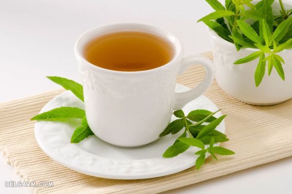 چیکار کنیم در سفر پریود نشویم ؟ (2 نکته مهم) ترکیب بارهنگ و نعنا برای تأخیر در قاعدگی