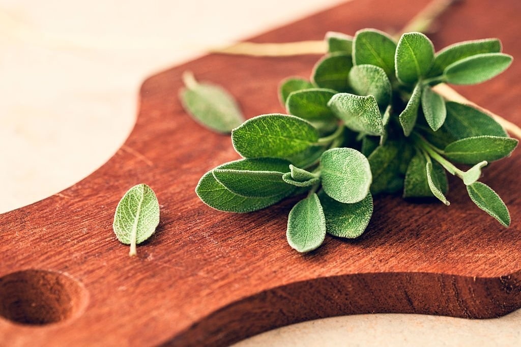 فواید روغن مریم گلی