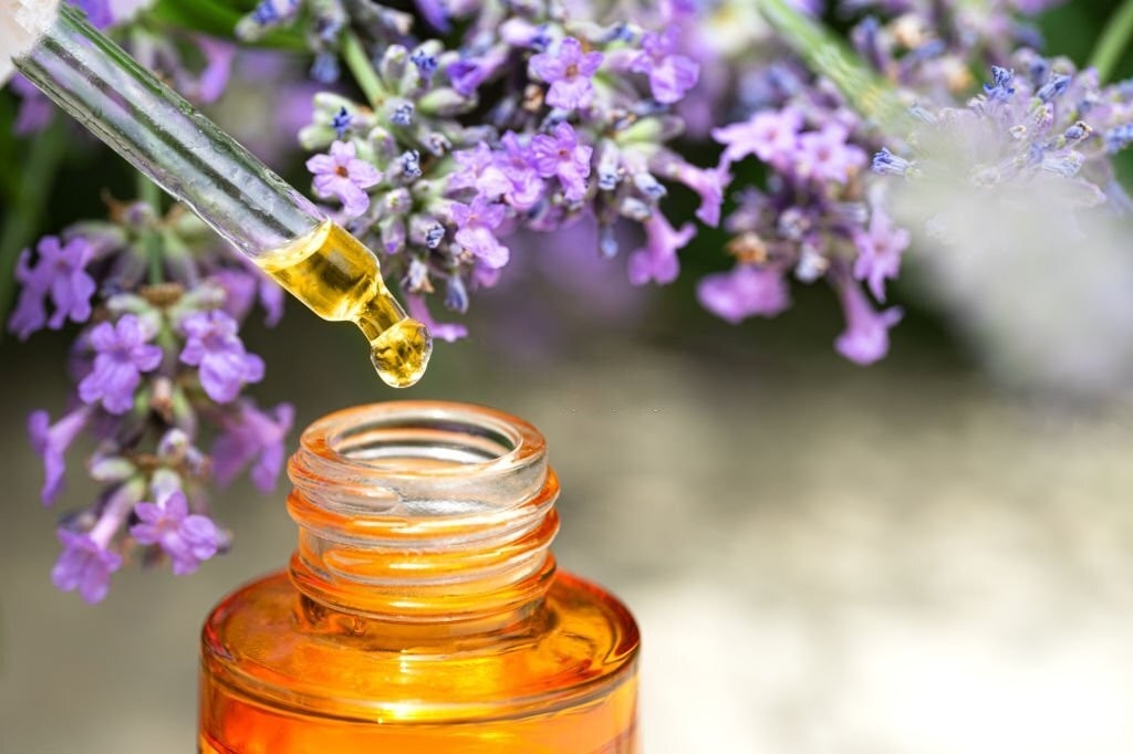 عکس روغن گل بنفشه 