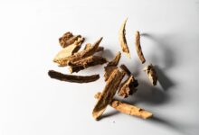 (چوب چینی) موارد مصرف و کاربرد آن از دیدگاه طب سنتی (2 نکته مهم)