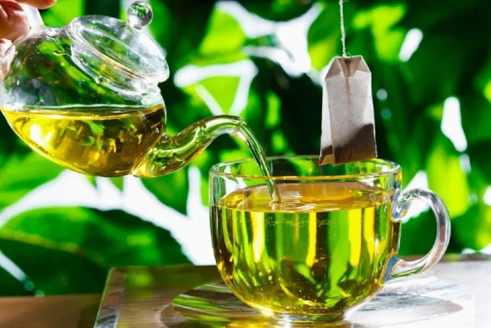 سرطانی ها چی بخورن؟